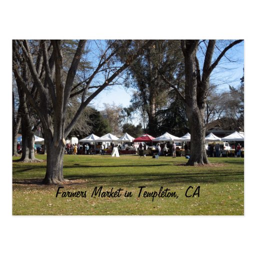 Postcard Farmers Market, Templeton, CA Postcard Zazzle