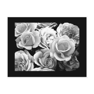 Postcard-Flowers-74