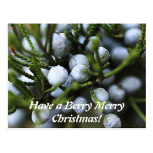 Postcard for Christmas