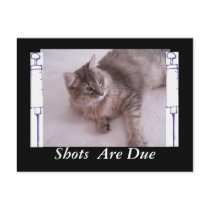 Postcard for Vets- Shots Are Due by KatAnnette Postcard for Vets- Shots Are Due