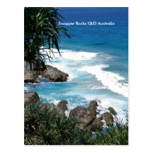 Postcard Froggies Snapper Rocks QLD Australia