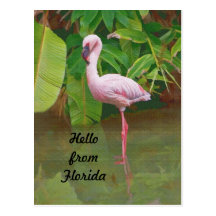 Postcard from Florida with Pink Flamingo