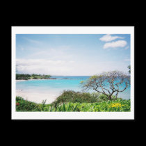 Postcard from Hawaii
