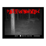 Postcard GameCam Black Shuck Dogman Pure Michigan! Postcard GameCam Black Shuck Dogman Pure Michigan!