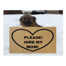 Postcard German Shepherd Please Hire My Mom