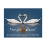 Postcard Gifts Love Swans postcards