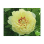 Postcard Grand Opening Greenhouse bus Yellow Peony