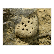 Postcard Honeycomb