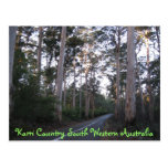 POSTCARD - Karri Country South Western Australia postcards