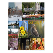 Postcard, Khoncepts.com