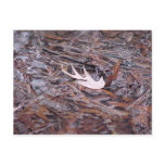 Postcard "Leaf Dry"