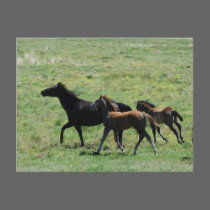 Postcard - Mare & Foals Running by smilodonart Postcard - Mare & Foals Running