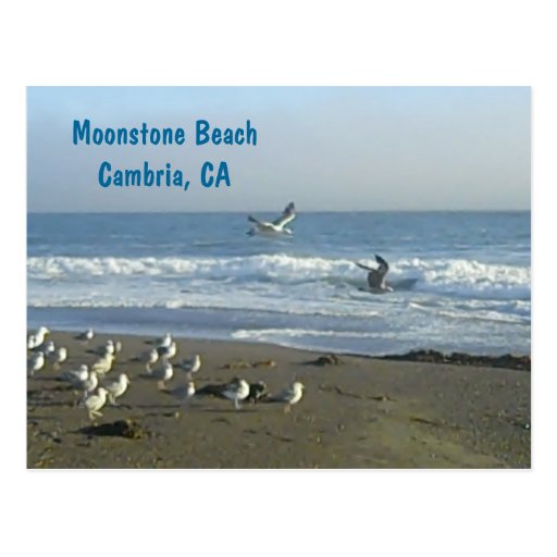 Postcard: Moonstone Beach, Cambria, C
