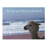 Postcard -  My hair gets frizzy ...