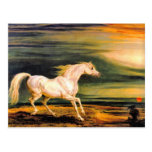 Postcard: Napoleon's Marengo