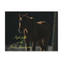 Postcard of Horse in the Rocky Mountains
