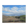 Postcard of Paso Robles Vineyard in January