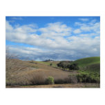 Postcard of Paso Robles Vineyard in January postcards