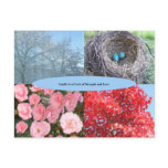 Postcard of seasons Postcard of seasons