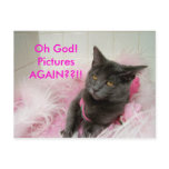 Postcard- Oh God!PicturesAGAIN??!!