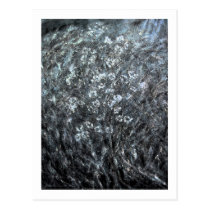 Postcard - Oil Painting Winter Flowers (Stylized) postcards
