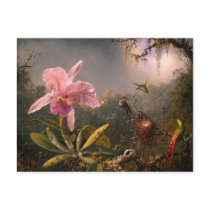 Postcard: Orchid and Hummingbirds