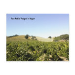 Postcard: Paso Robles Vineyard in August