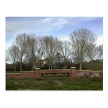 Postcard: Paso Robles Wine Country