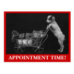 Postcard Pets Sweet Cat & Dog Appointment Reminder