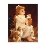 Postcard:  Playing with the Kitten