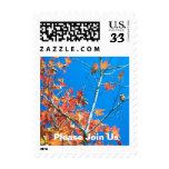 Postcard Please Join Us Autumn Weddings Fall Weddi Postage Stamps
