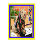 Postcard:  Soft Coated Wheaten Terrier At the Spa