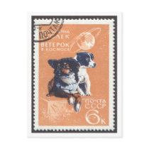 Postcard Space Dogs Veterok and Ugolyok by ussrspacestamps Postcard Space Dogs Veterok and Ugolyok