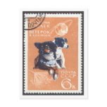 Postcard Space Dogs Veterok and Ugolyok
