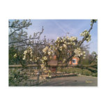 Postcard Spring