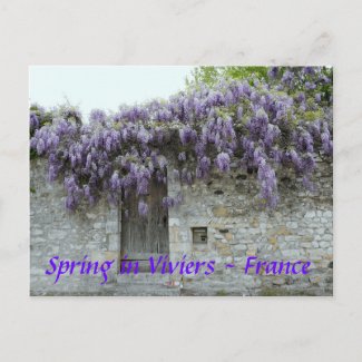 POSTCARD - Spring in Viviers France zazzle_postcard