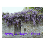 POSTCARD Spring in Viviers France postcards