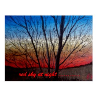 Postcard,Sunset thru trees postcard