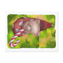 Postcard Teddy