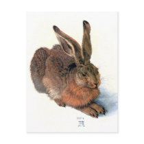 Postcard:  The Rabbit