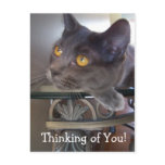Postcard, Thinking of You!