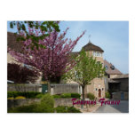 POSTCARD - Tournus France postcards