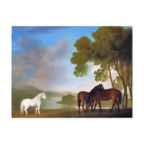 Postcard: Two Bay Mare & a Grey  Pony