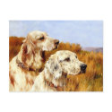 Postcard: Two Setters by Arthur Wardle by VintagePets Postcard: Two Setters by Arthur Wardle