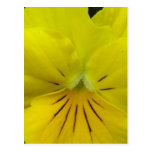 Postcard Vertical Template - Customized
