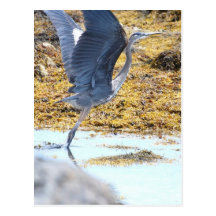 Postcard Vertical Template - Customized