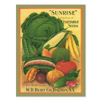 Postcard Vintage Antique Burt Co Vegetable Seeds postcards