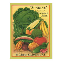 Postcard Vintage Antique Burt Co Vegetable Seeds postcards