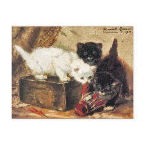 Postcard: VINTAGE CAT ART: TEATIME FOR KITTENS