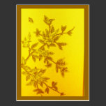 Postcard-Vintage Stained Glass-11 postcards